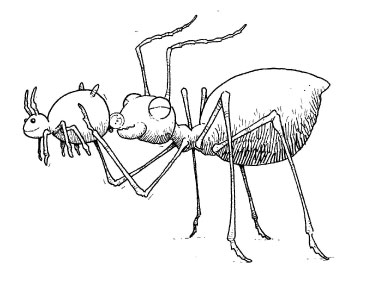 S.W.I.T.C.H 4: Ant Attack